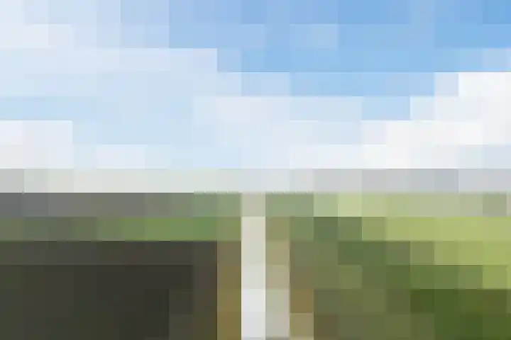 Schepenlaan 10 Terneuzen thumbnail 40