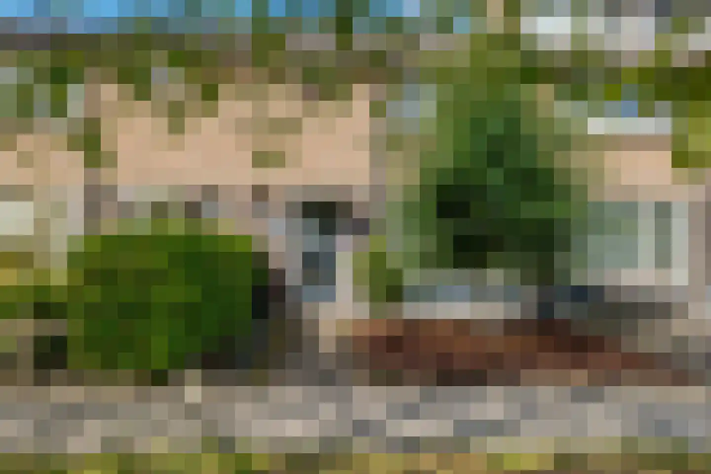 Schepenlaan 11 Roden