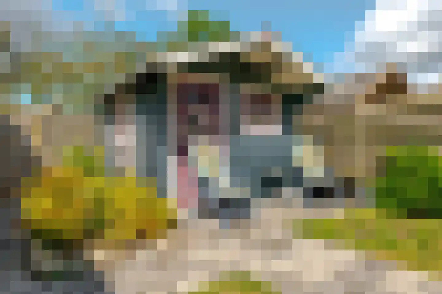 Schepenlaan 11 Roden thumbnail 36