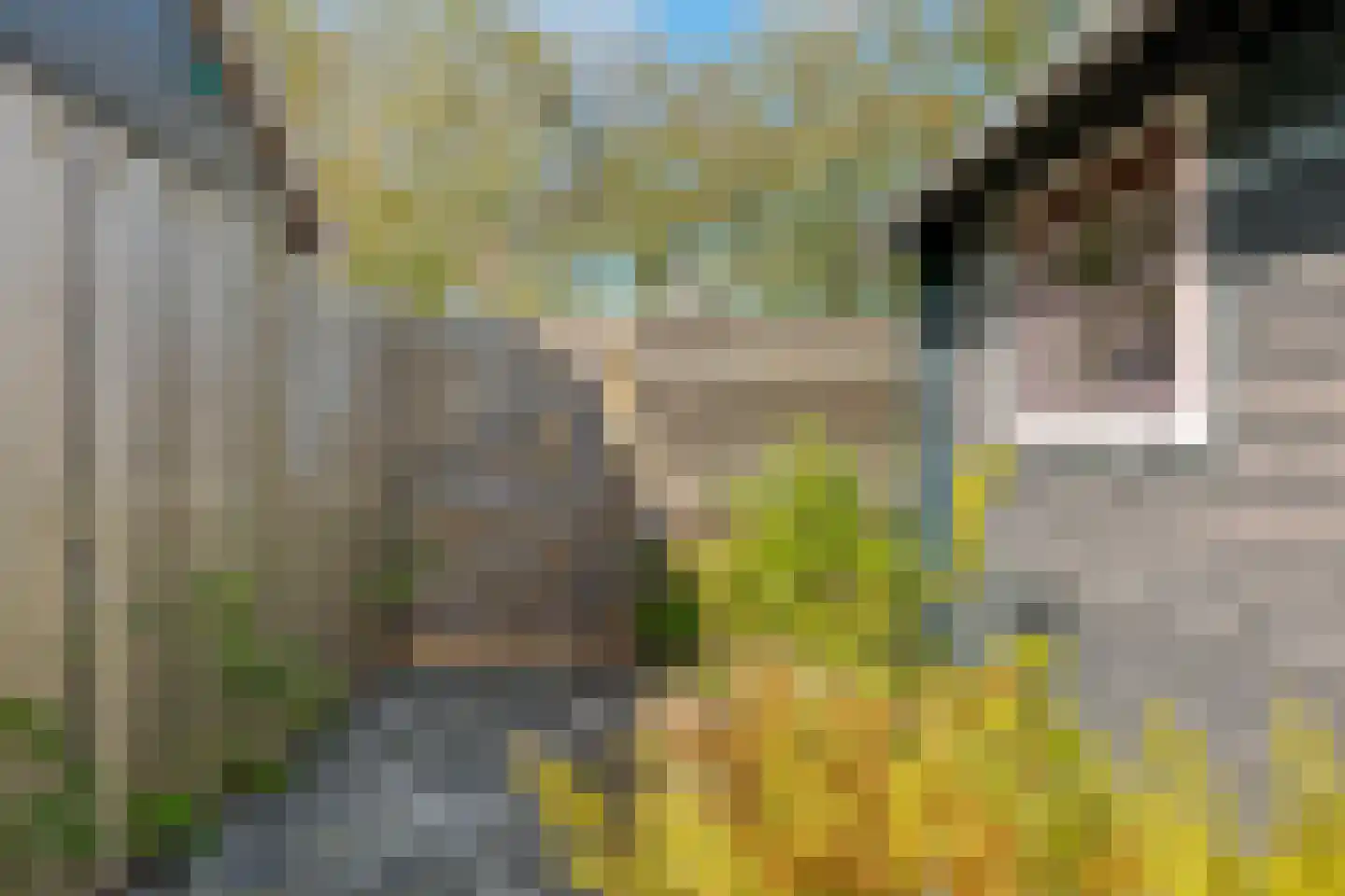 Schepenlaan 11 Roden thumbnail 37