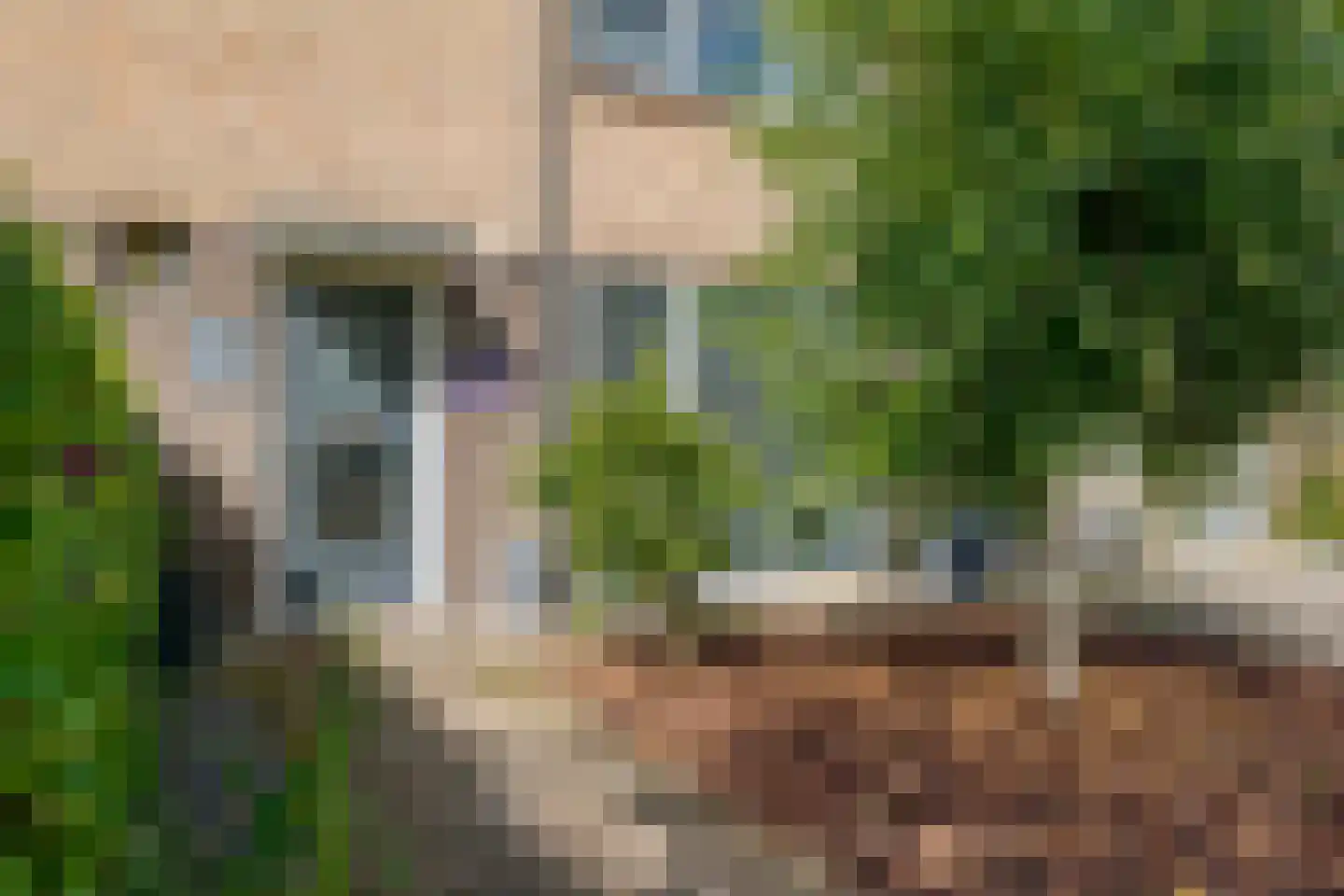 Schepenlaan 11 Roden thumbnail 7