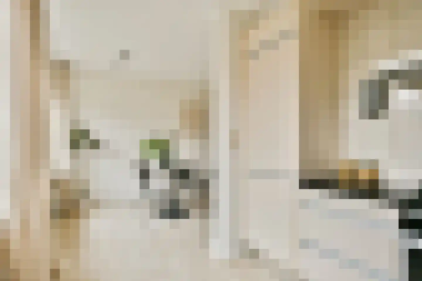 Schepenlaan 114 Zaandam thumbnail 10