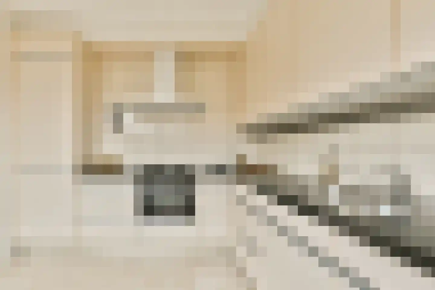 Schepenlaan 114 Zaandam thumbnail 12