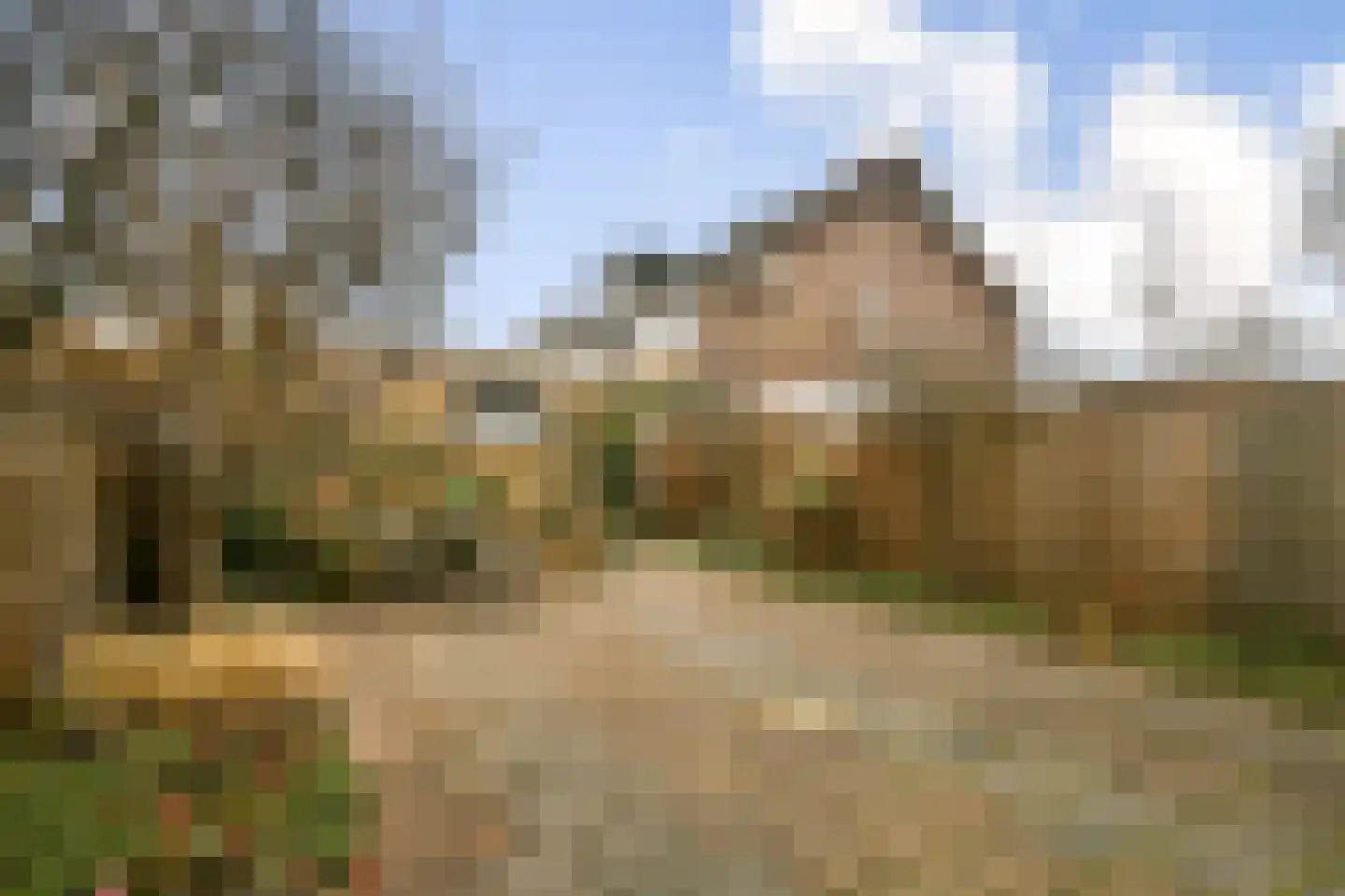 Schepenlaan 114 Zaandam thumbnail 13