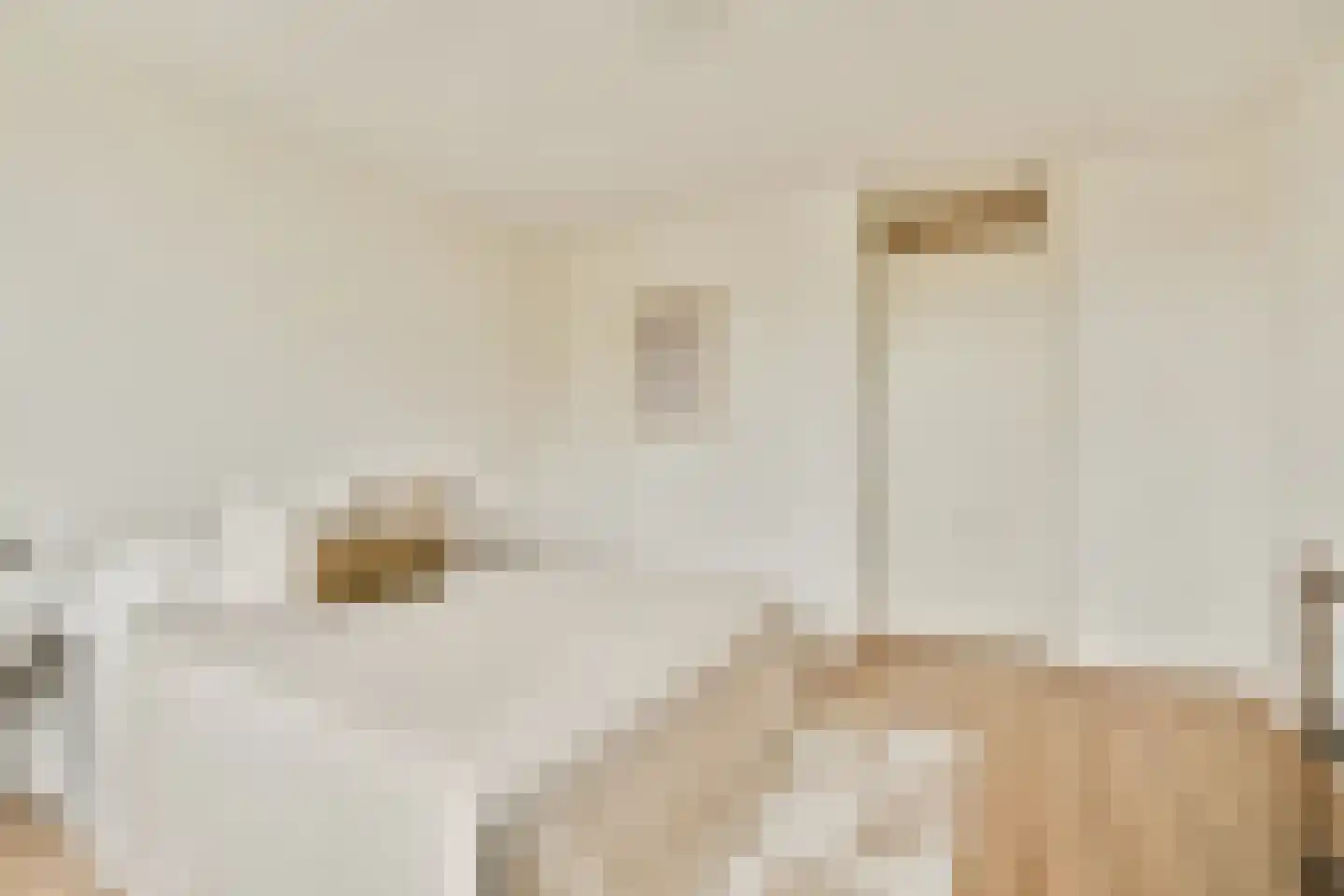 Schepenlaan 114 Zaandam thumbnail 22