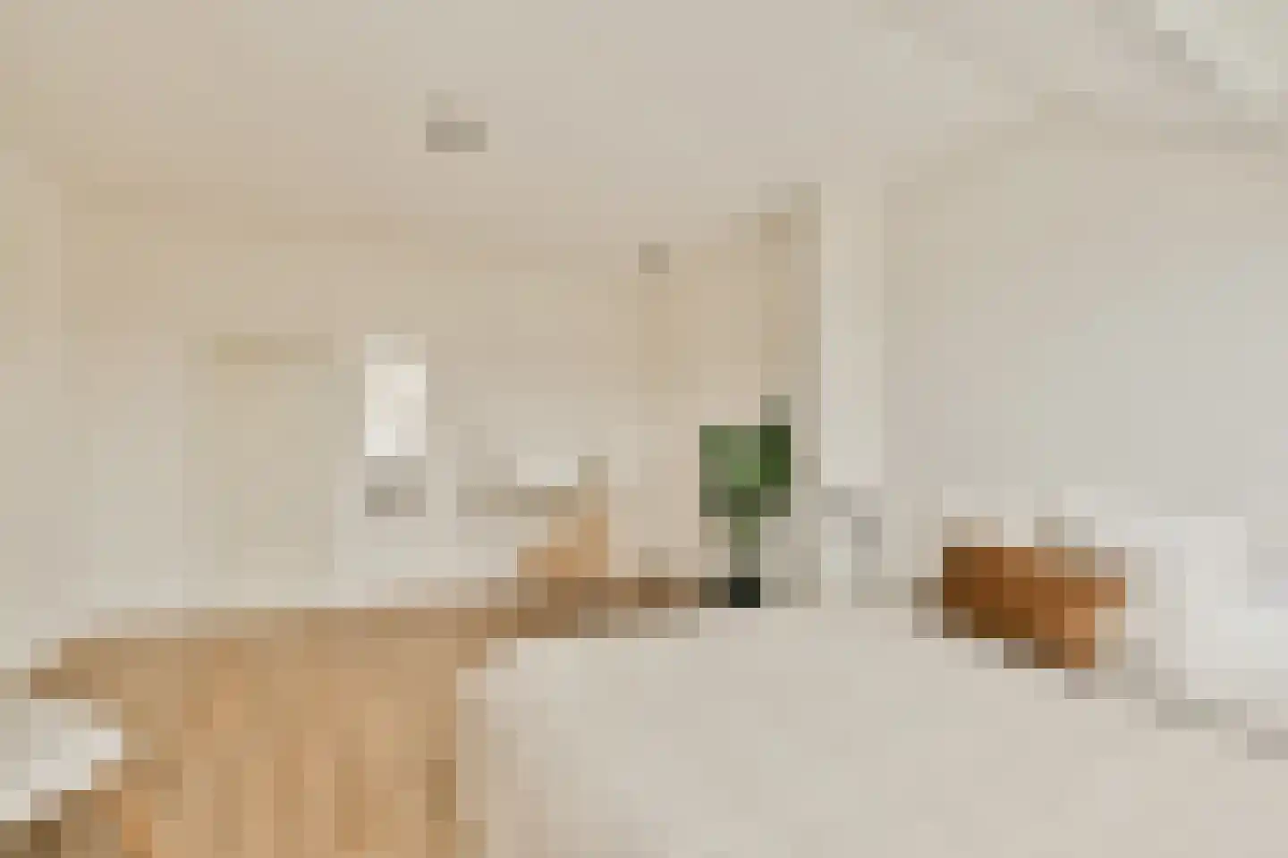 Schepenlaan 114 Zaandam thumbnail 29