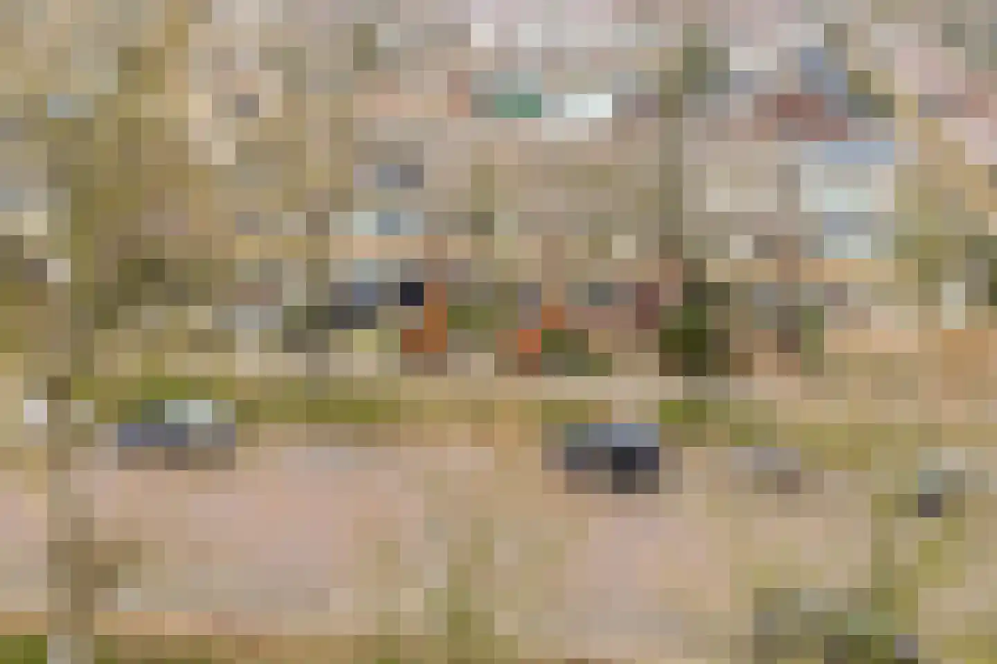 Schepenlaan 114 Zaandam thumbnail 35