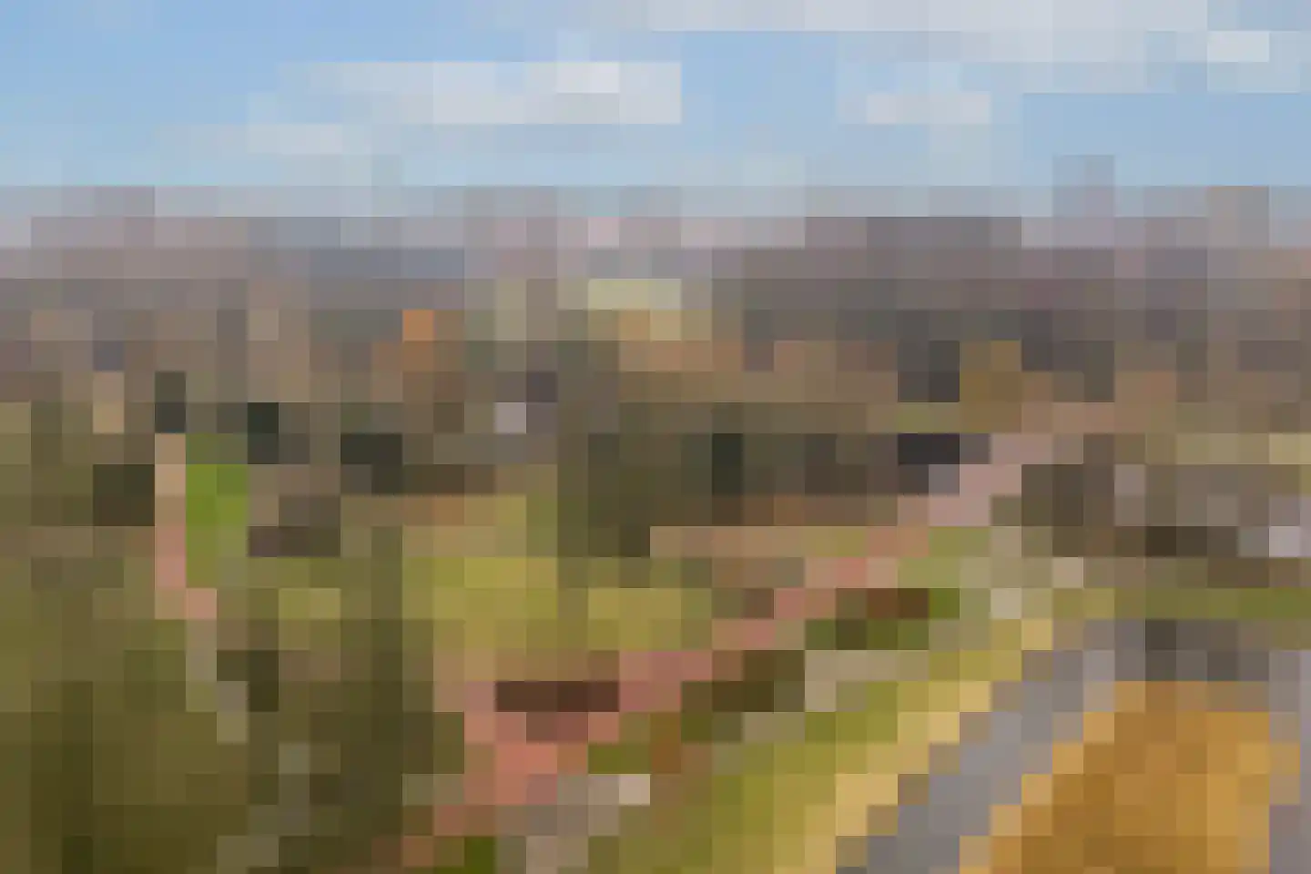 Schepenlaan 114 Zaandam thumbnail 37