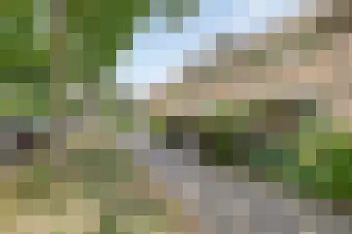Schepenlaan 116 Zaandam thumbnail 33