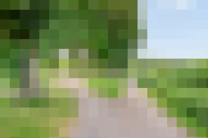 Schepenlaan 116 Zaandam thumbnail 34