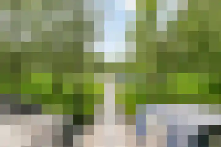 Schepenlaan 116 Zaandam thumbnail 35