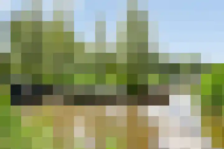 Schepenlaan 116 Zaandam thumbnail 36
