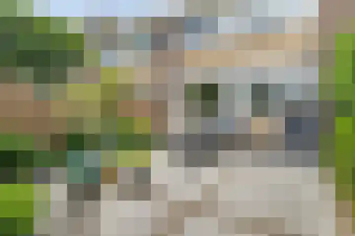 Schepenlaan 116 Zaandam thumbnail 6