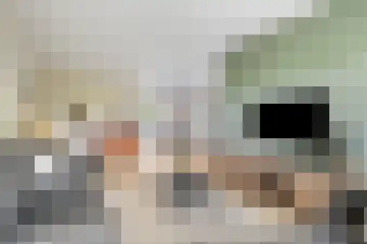 Schepenlaan 116 Zaandam thumbnail 7
