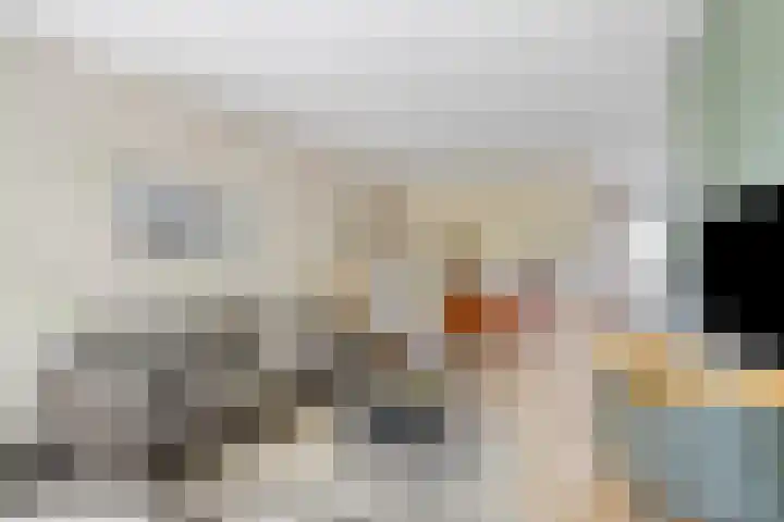 Schepenlaan 116 Zaandam thumbnail 8