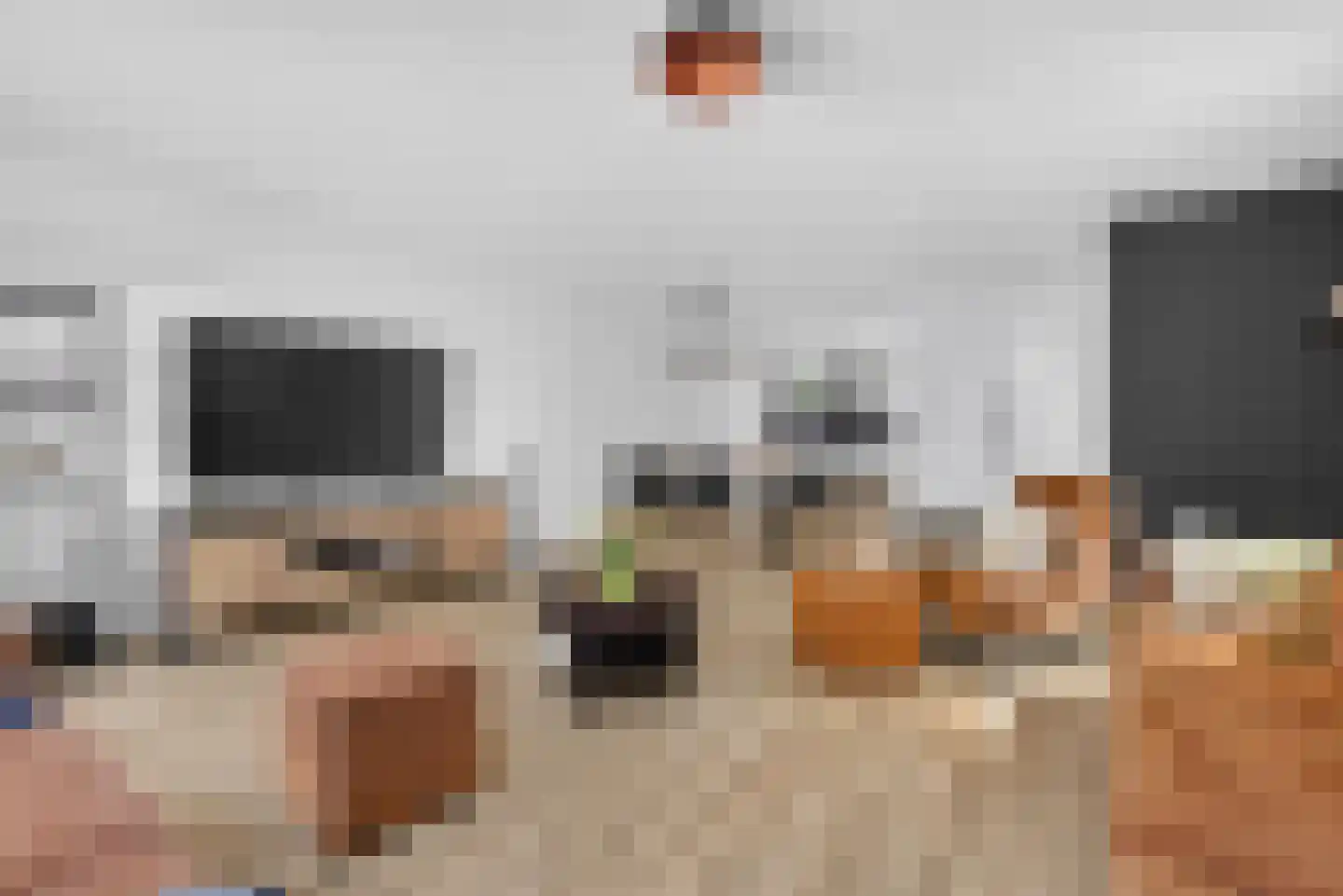 Schepenlaan 15 Amsterdam thumbnail 19