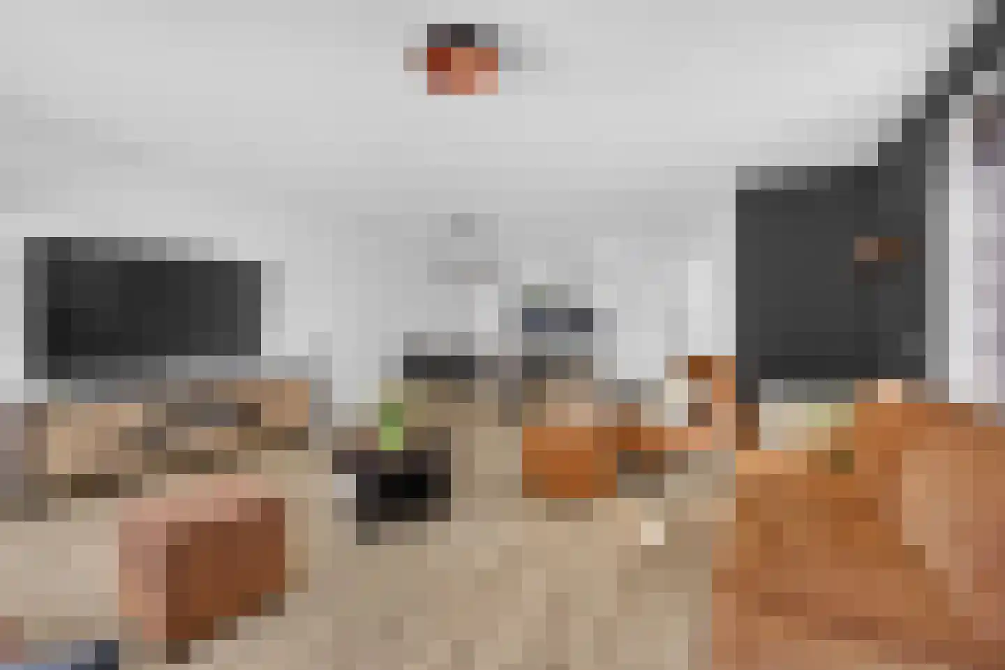 Schepenlaan 15 Amsterdam thumbnail 20