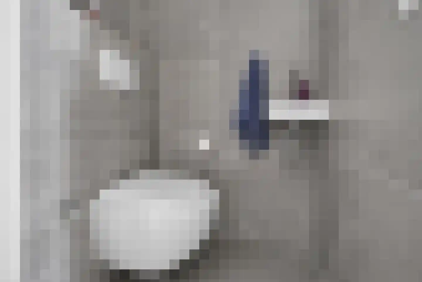 Schepenlaan 15 Amsterdam thumbnail 28