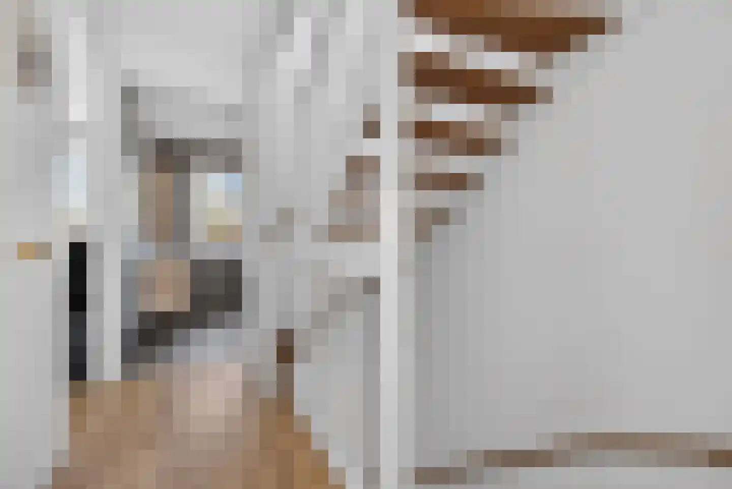 Schepenlaan 15 Amsterdam thumbnail 37