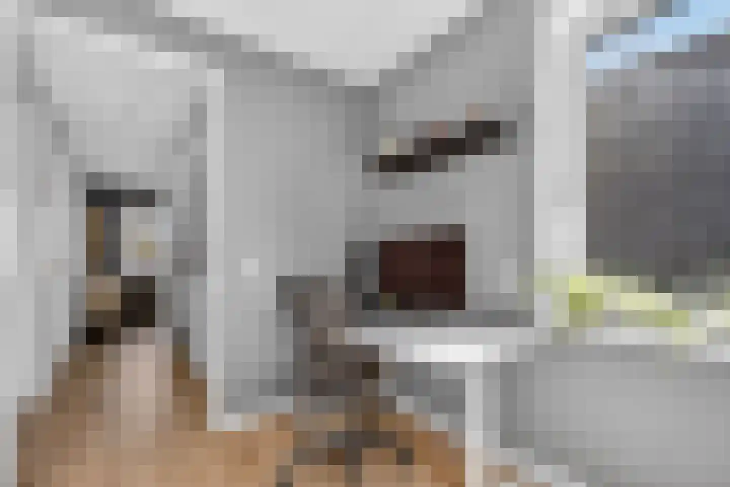 Schepenlaan 15 Amsterdam thumbnail 39