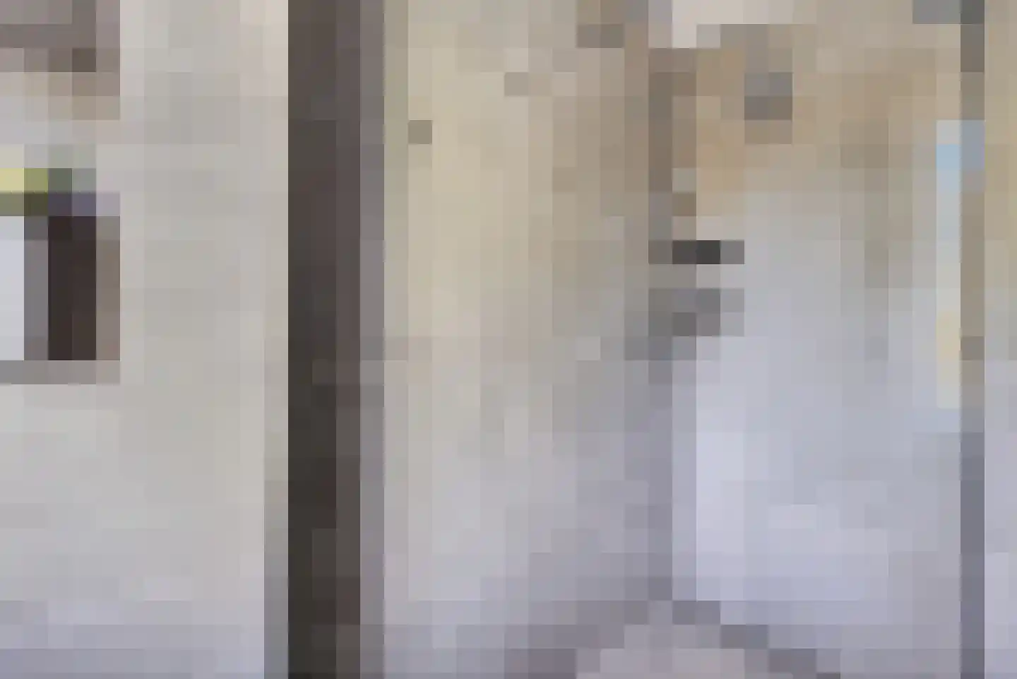 Schepenlaan 15 Amsterdam thumbnail 54
