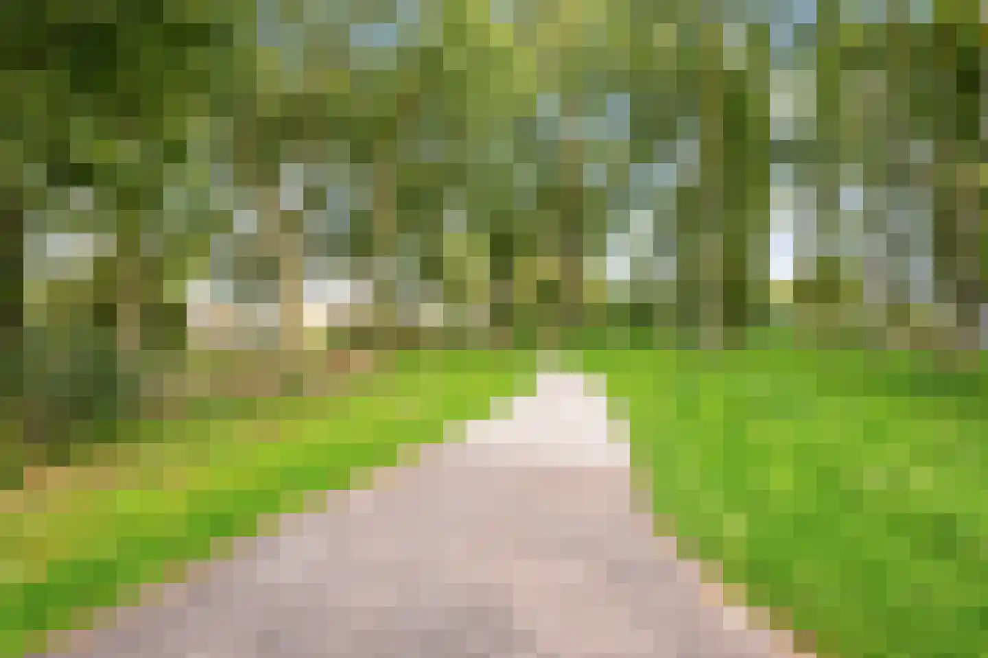Schepenlaan 164 Zaandam thumbnail 33