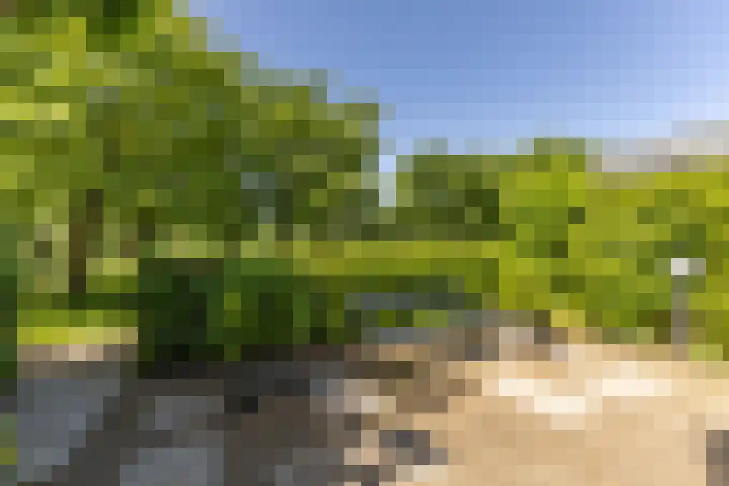 Schepenlaan 17 Zaandam thumbnail 14
