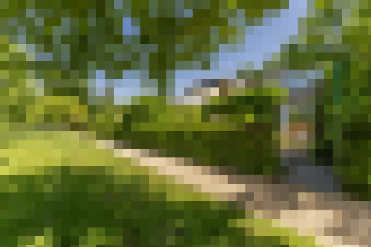Schepenlaan 17 Zaandam thumbnail 16