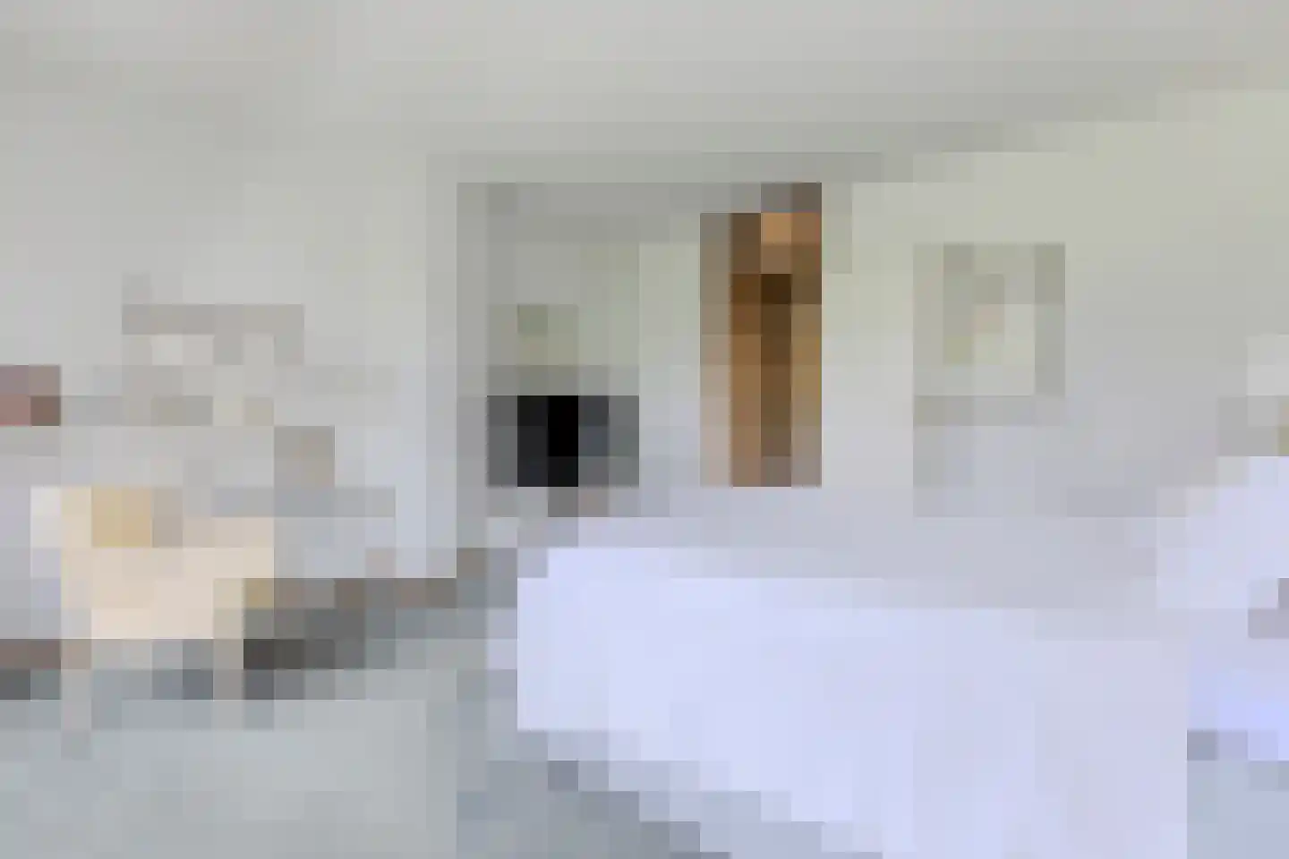 Schepenlaan 17 Zaandam thumbnail 22