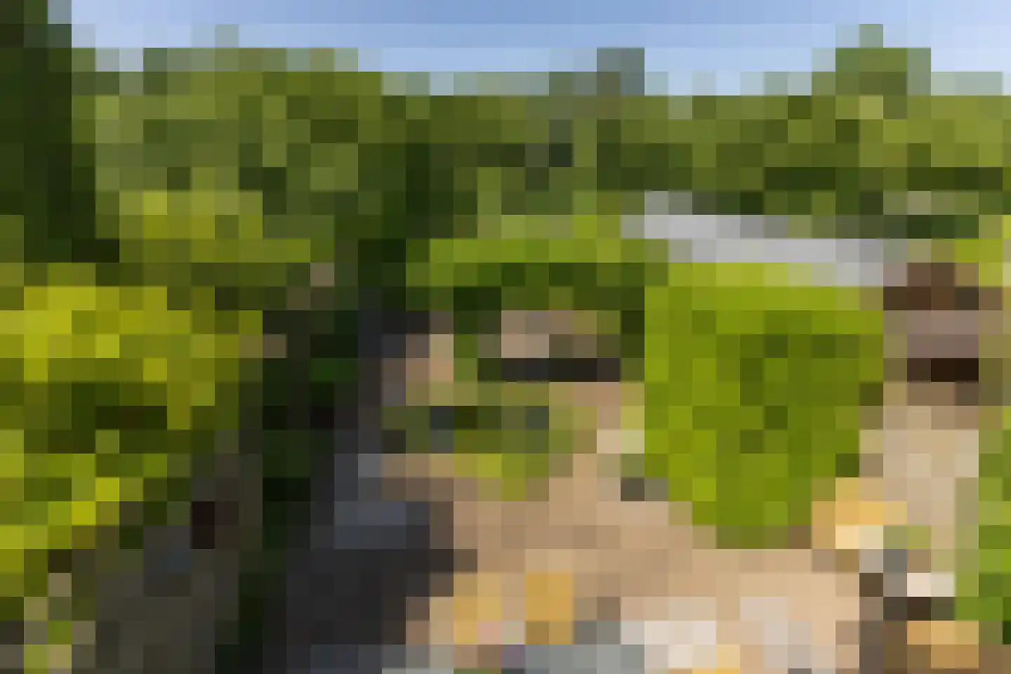 Schepenlaan 17 Zaandam thumbnail 24