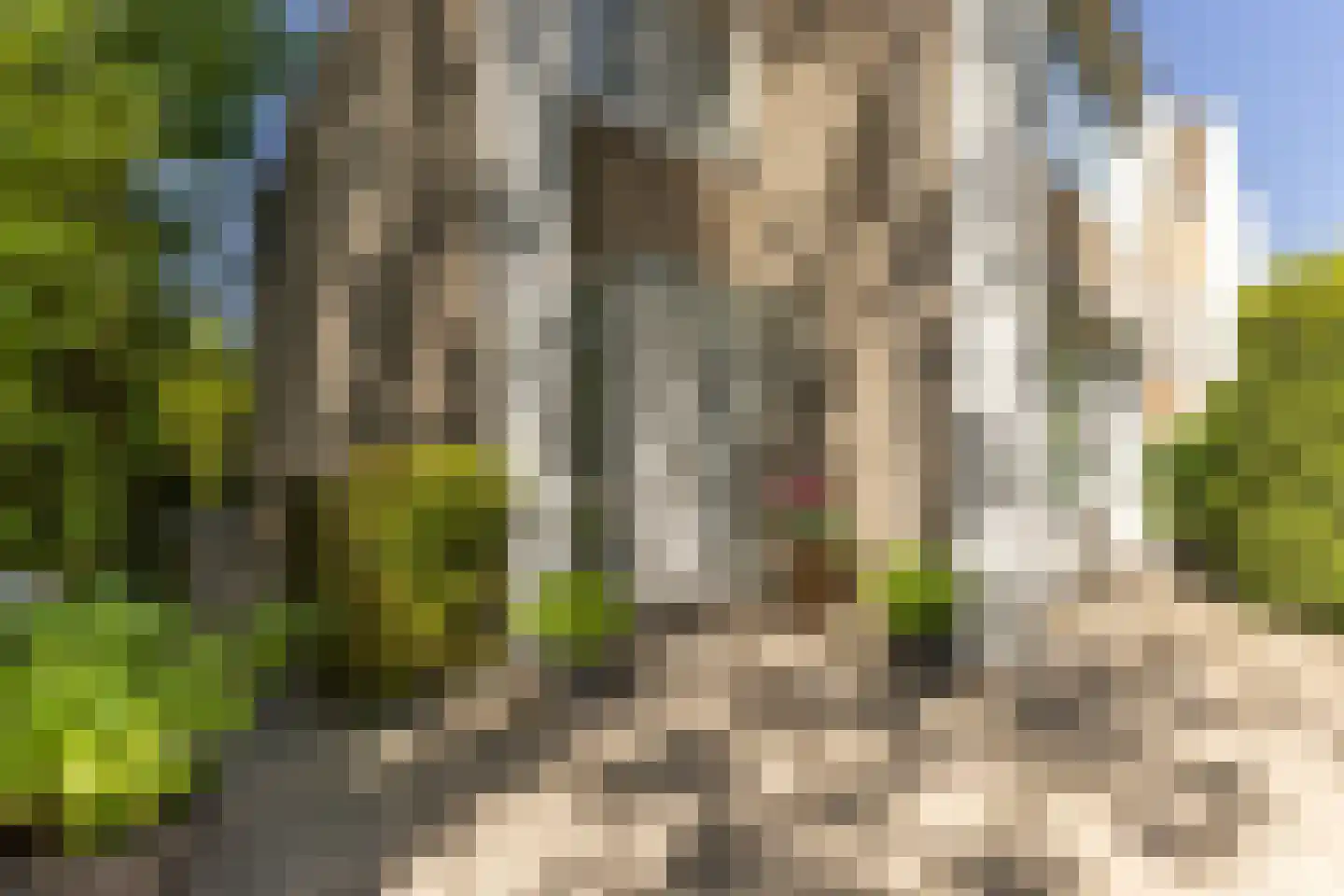 Schepenlaan 17 Zaandam thumbnail 31