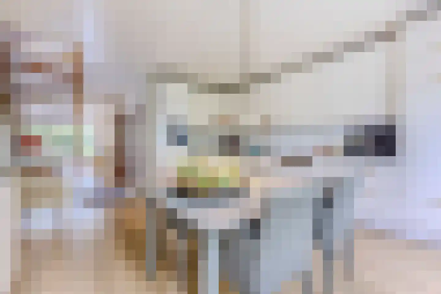 Schepenlaan 17 Zaandam thumbnail 4