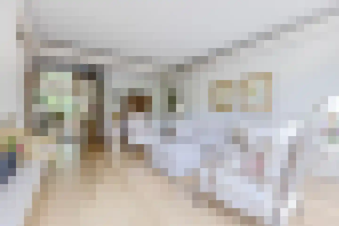 Schepenlaan 17 Zaandam thumbnail 8