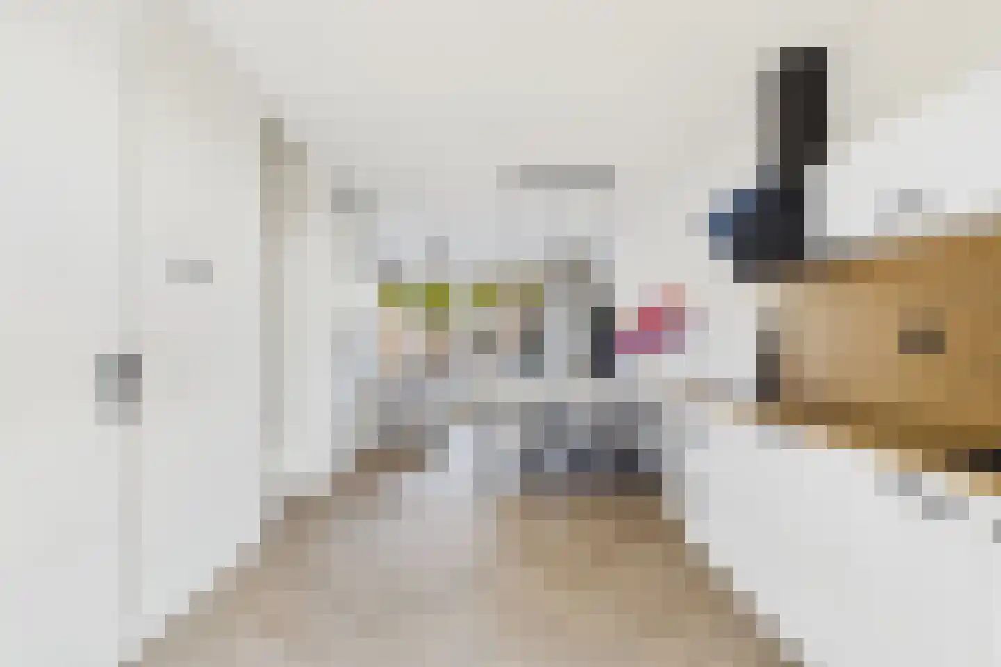 Schepenlaan 22 Terneuzen thumbnail 14