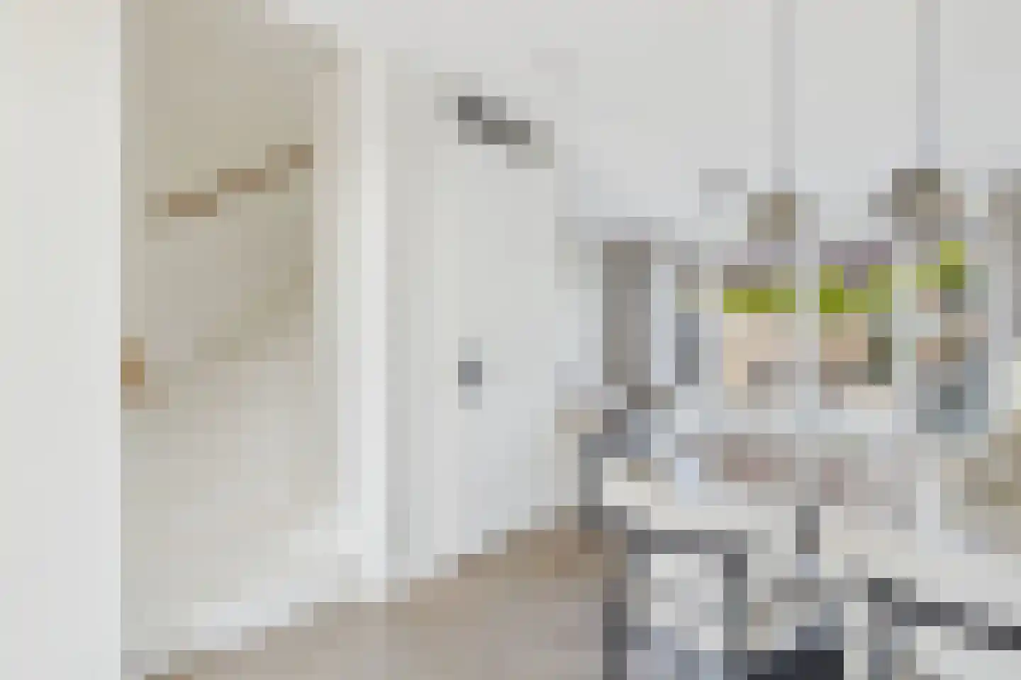 Schepenlaan 22 Terneuzen thumbnail 19
