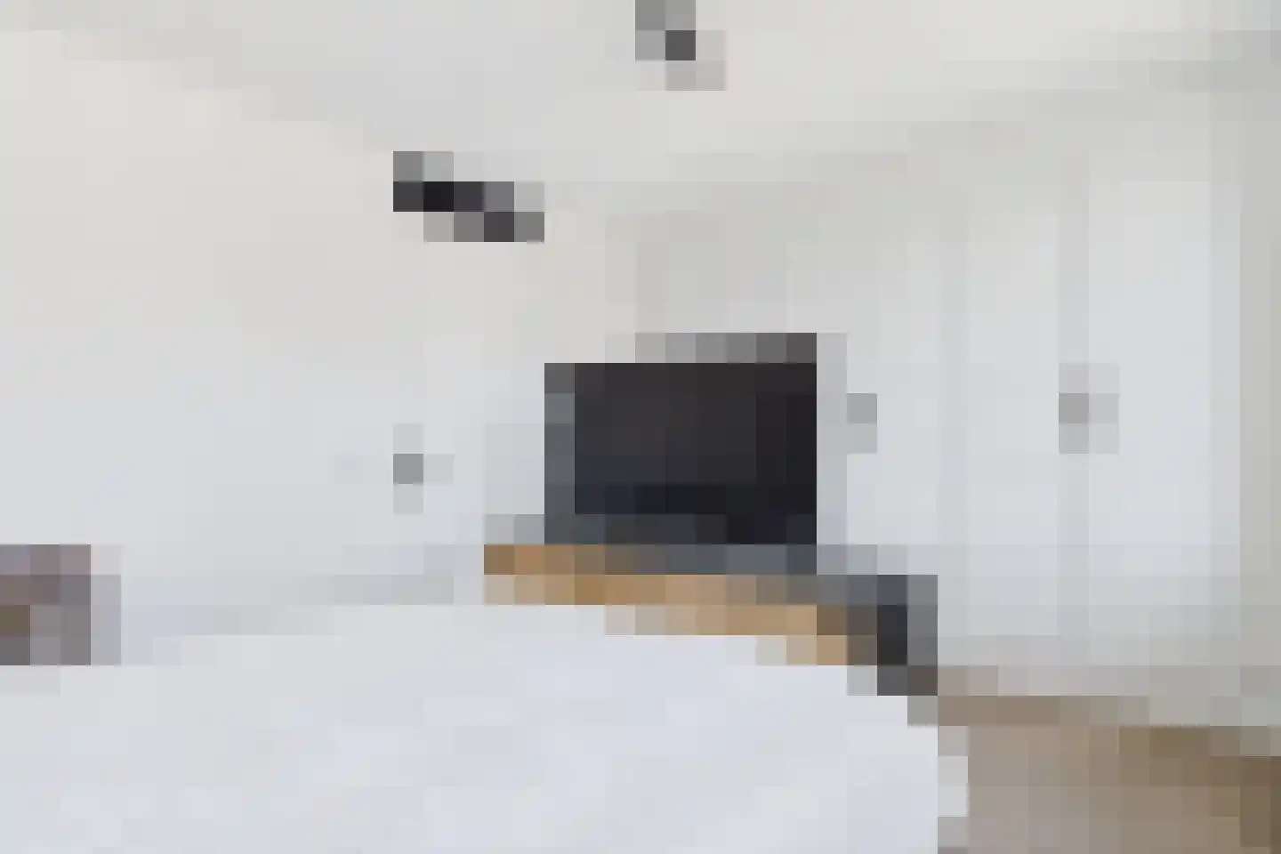 Schepenlaan 22 Terneuzen thumbnail 22