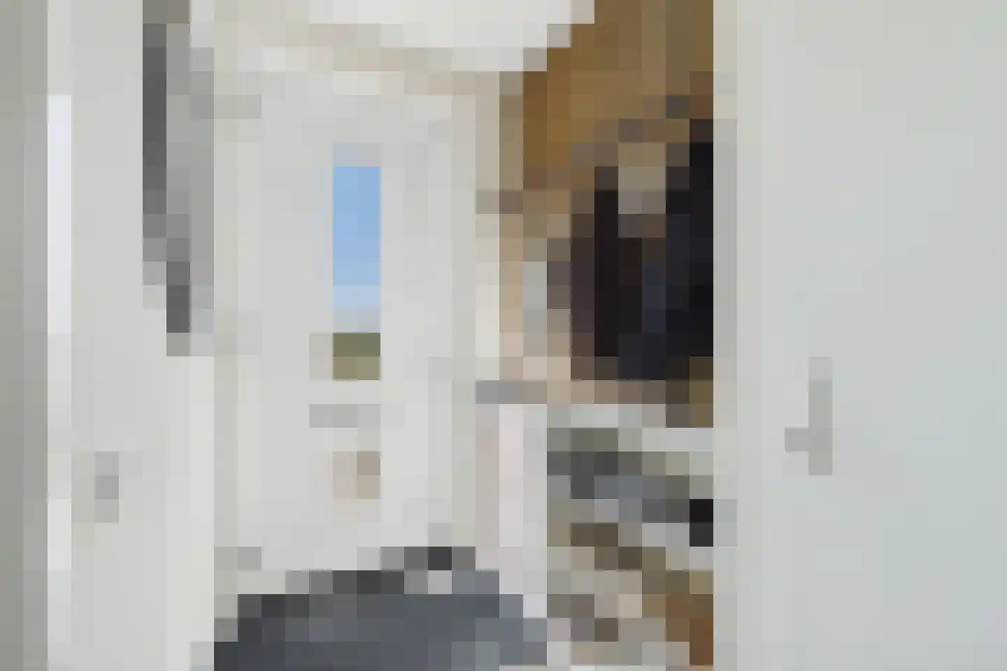 Schepenlaan 22 Terneuzen thumbnail 8