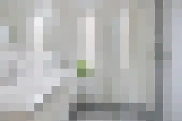 Schepenlaan 24 Terneuzen thumbnail 12
