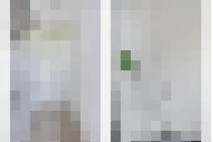 Schepenlaan 24 Terneuzen thumbnail 17