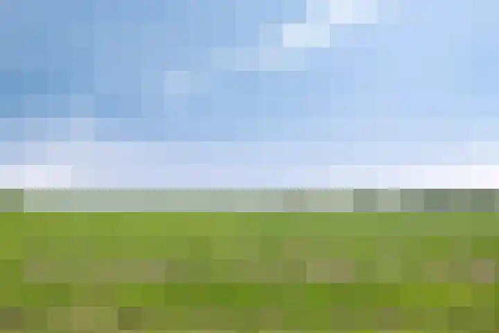 Schepenlaan 24 Terneuzen thumbnail 23