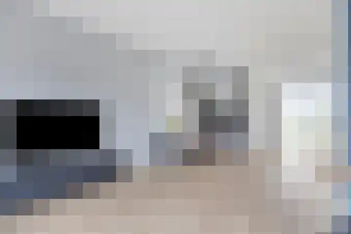 Schepenlaan 24 Terneuzen thumbnail 6