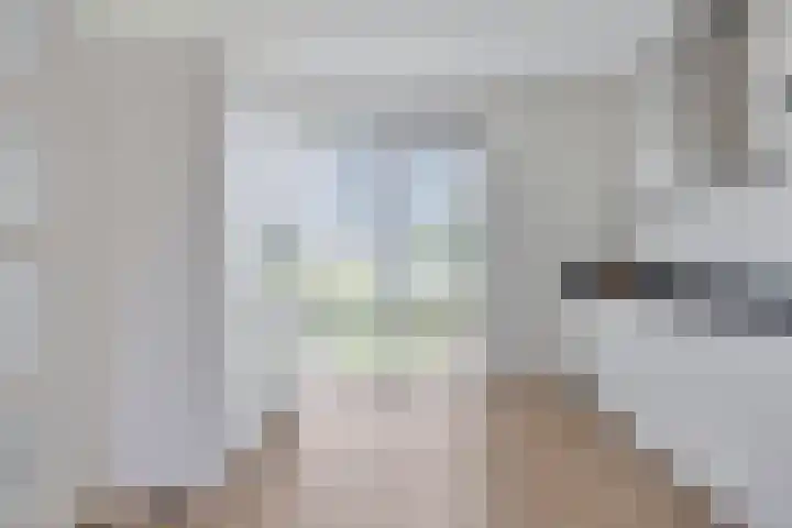 Schepenlaan 24 Terneuzen thumbnail 7