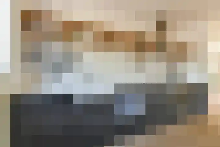 Schepenlaan 31 Amsterdam thumbnail 13