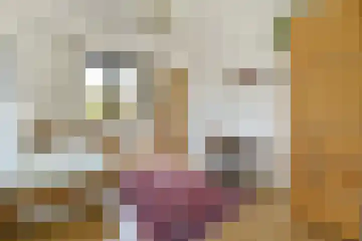 Schepenlaan 31 Amsterdam thumbnail 22