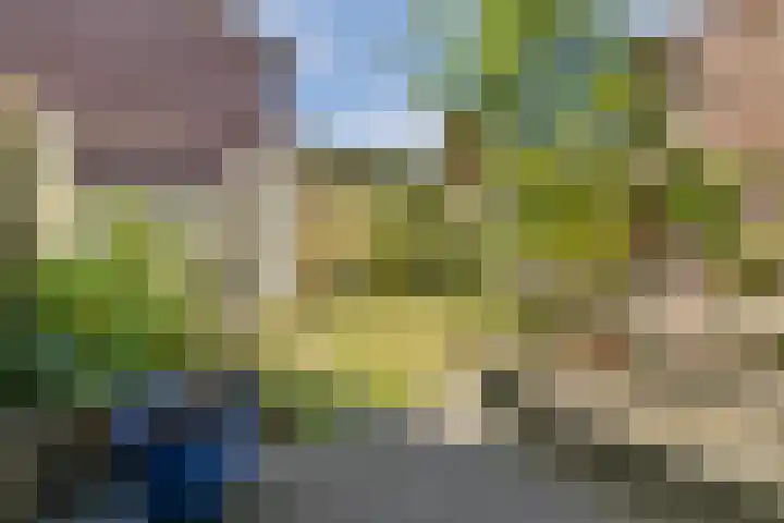 Schepenlaan 31 Amsterdam thumbnail 8