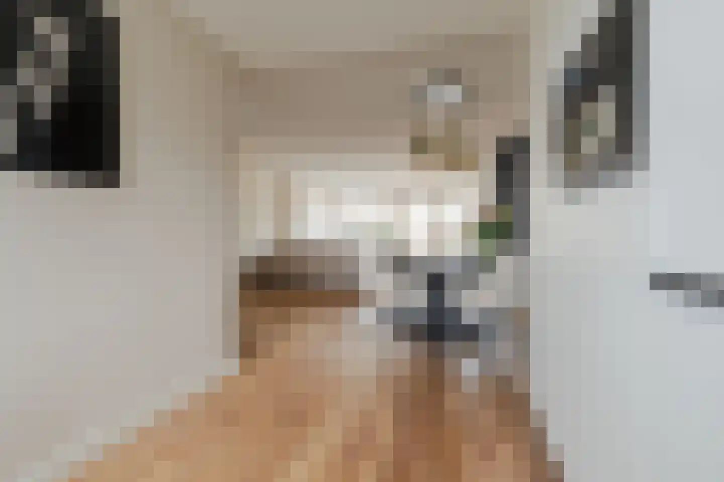 Schepenlaan 4 Mijnsheerenland thumbnail 11