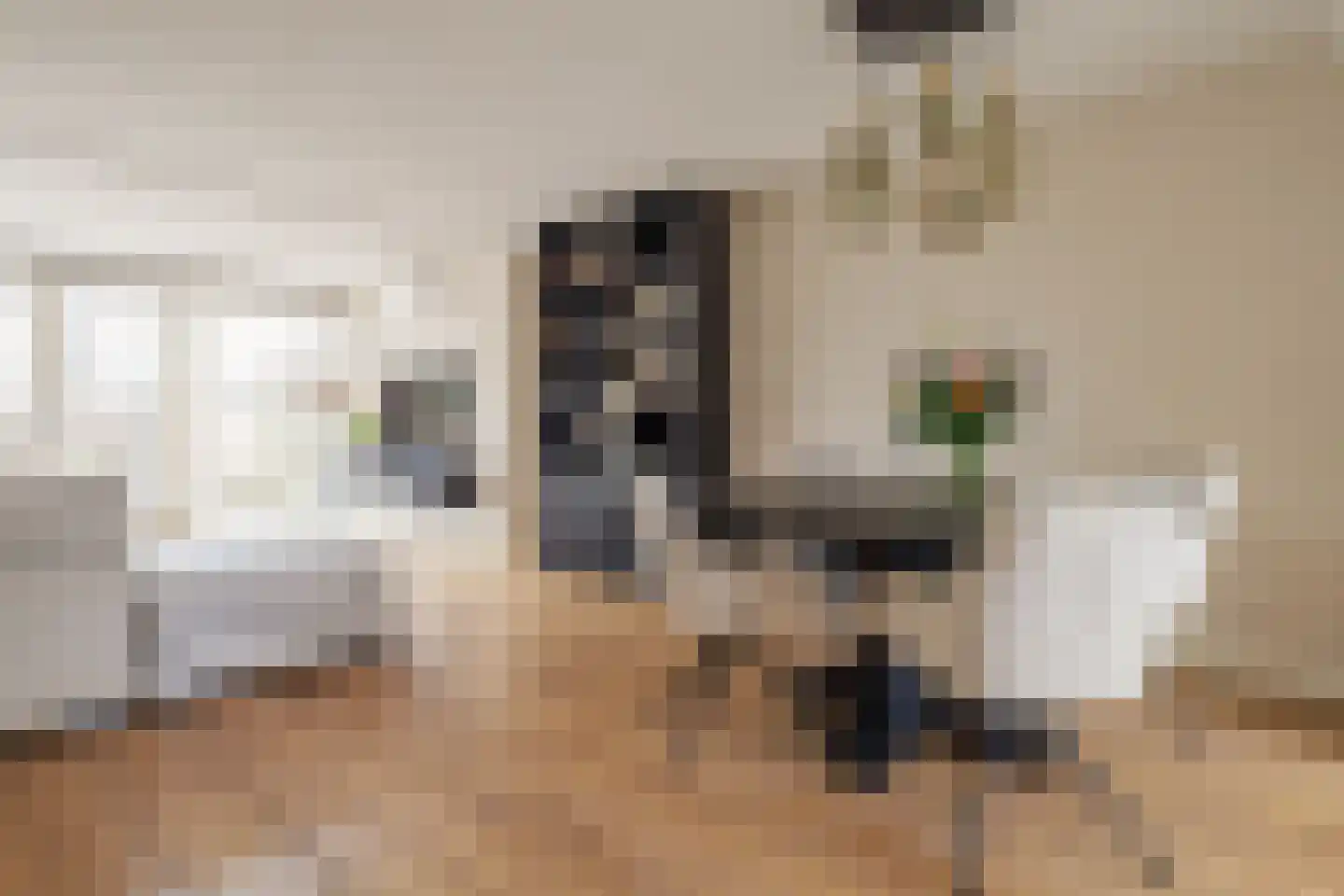 Schepenlaan 4 Mijnsheerenland thumbnail 12