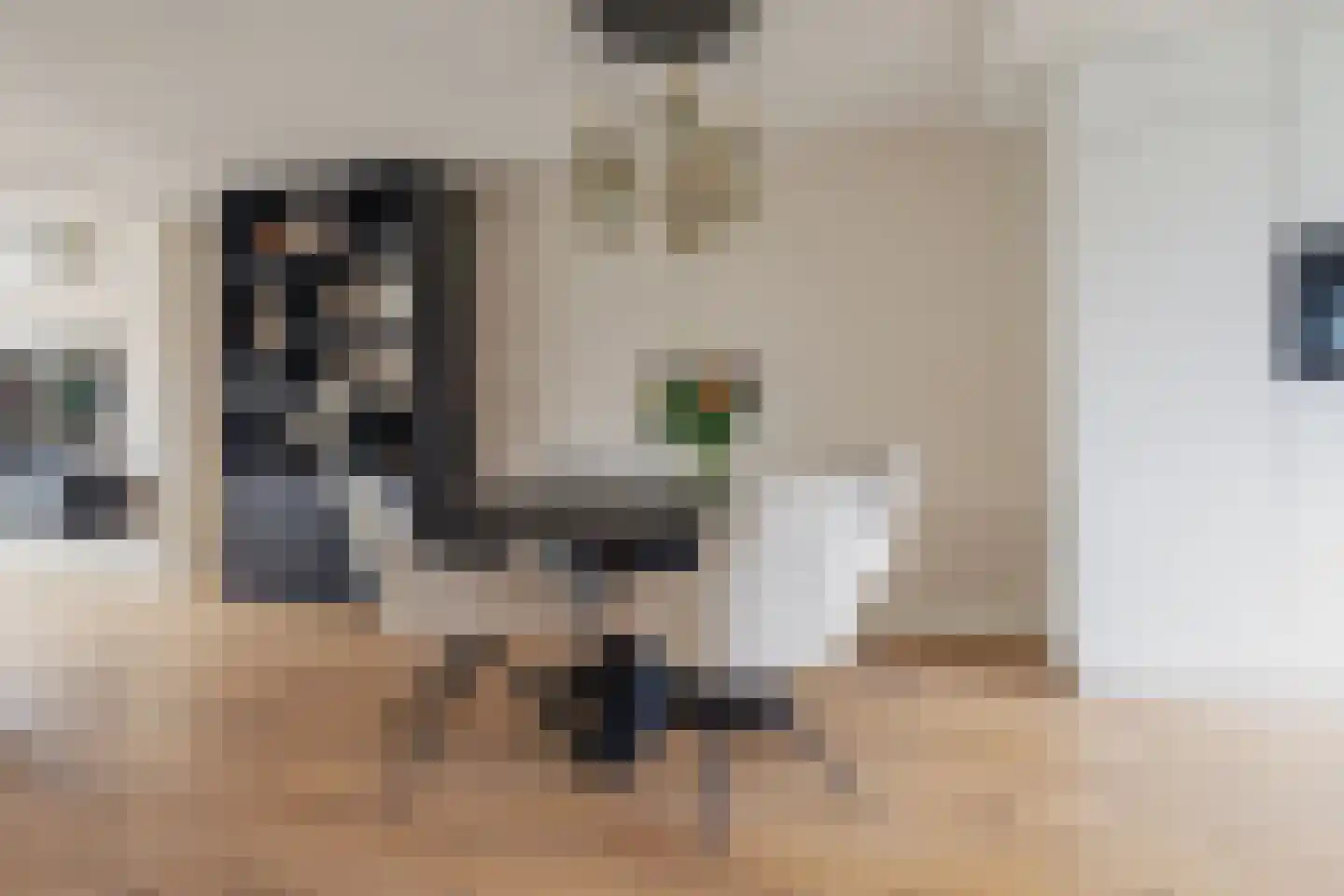 Schepenlaan 4 Mijnsheerenland thumbnail 14