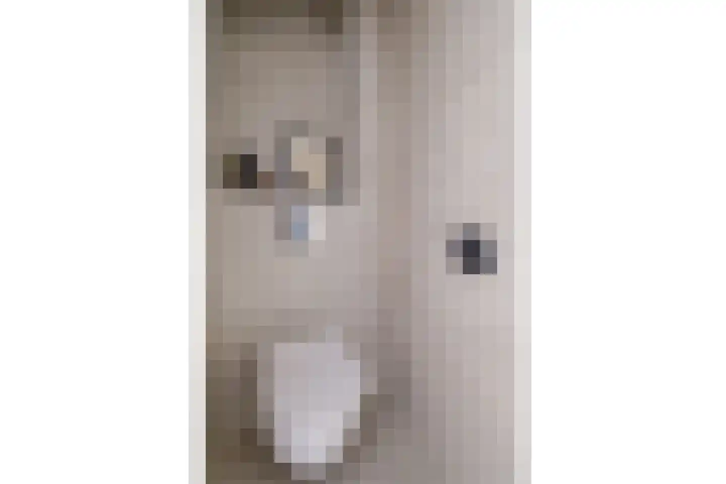 Schepenlaan 4 Mijnsheerenland thumbnail 15