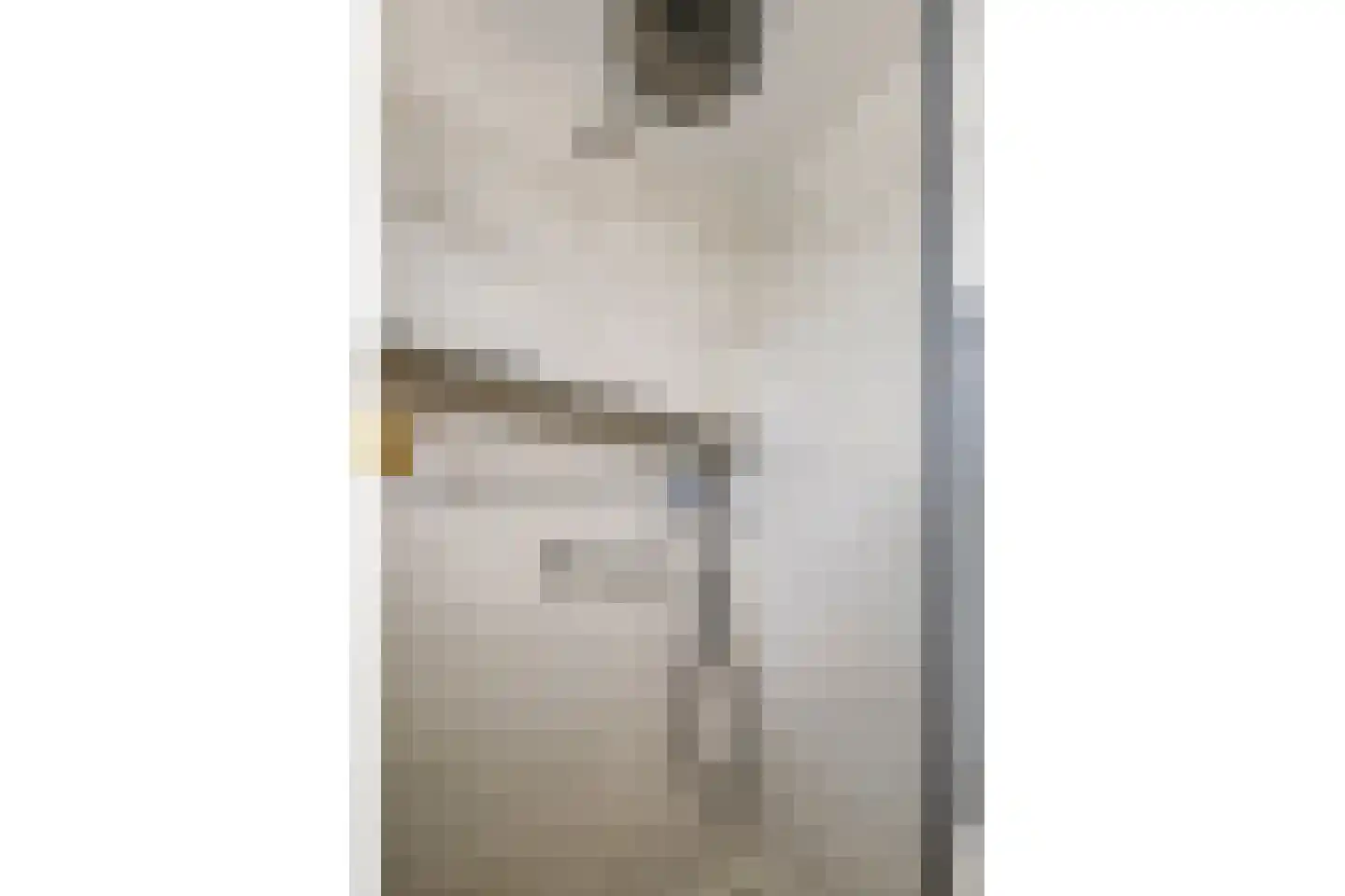Schepenlaan 4 Mijnsheerenland thumbnail 21